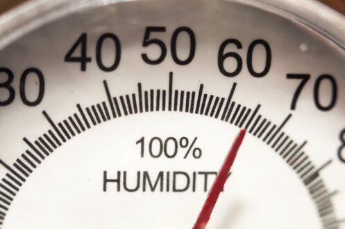 How Humidity Affects Comfort (And How Your HVAC Can Help) | Hammer's